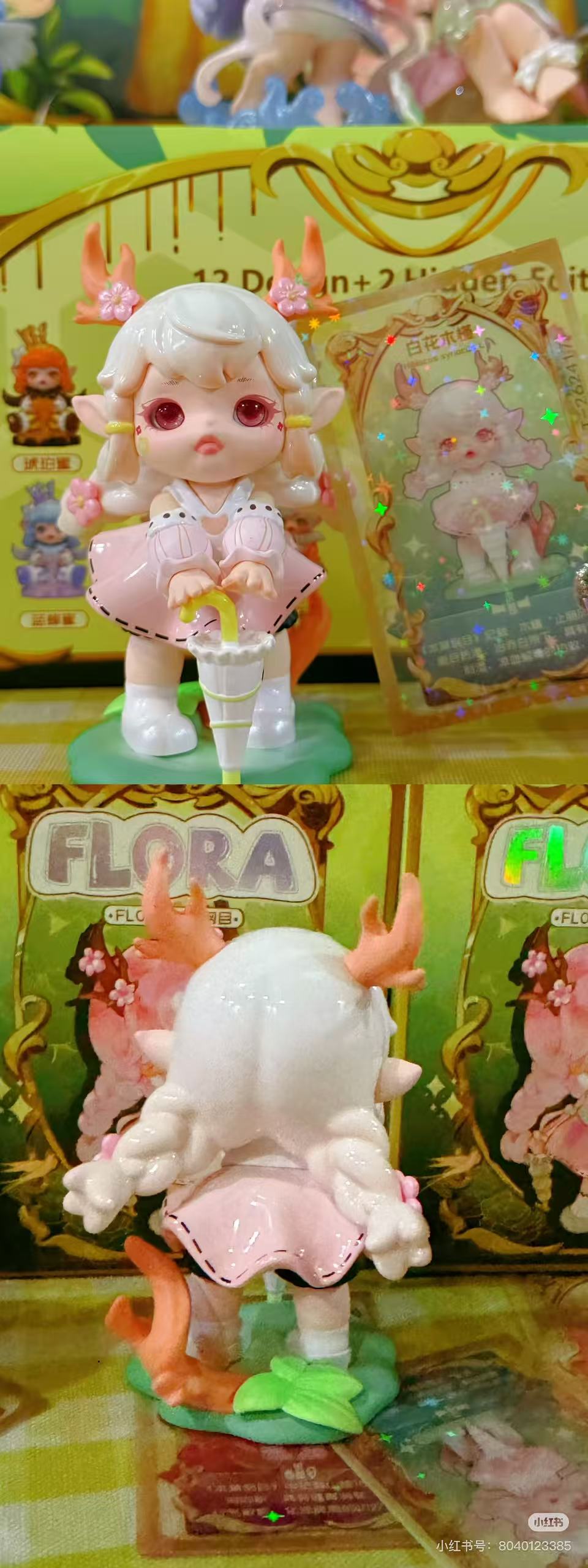 MioMio-Flora本草纲目